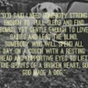 Meet your Posher, Rebeca